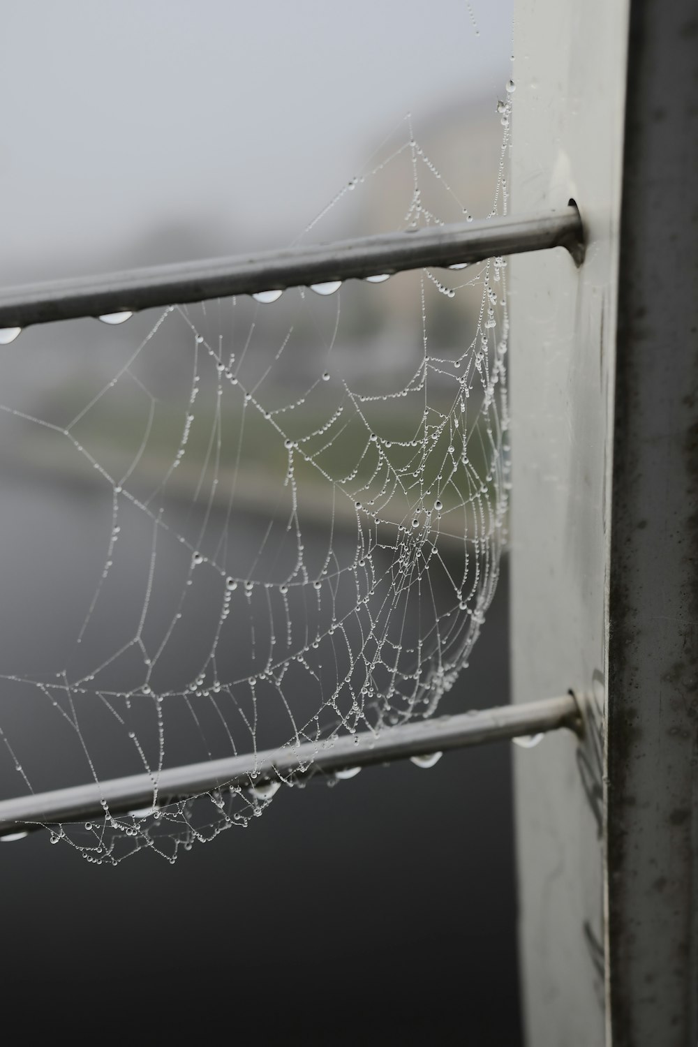 a spider web hanging from a metal railing