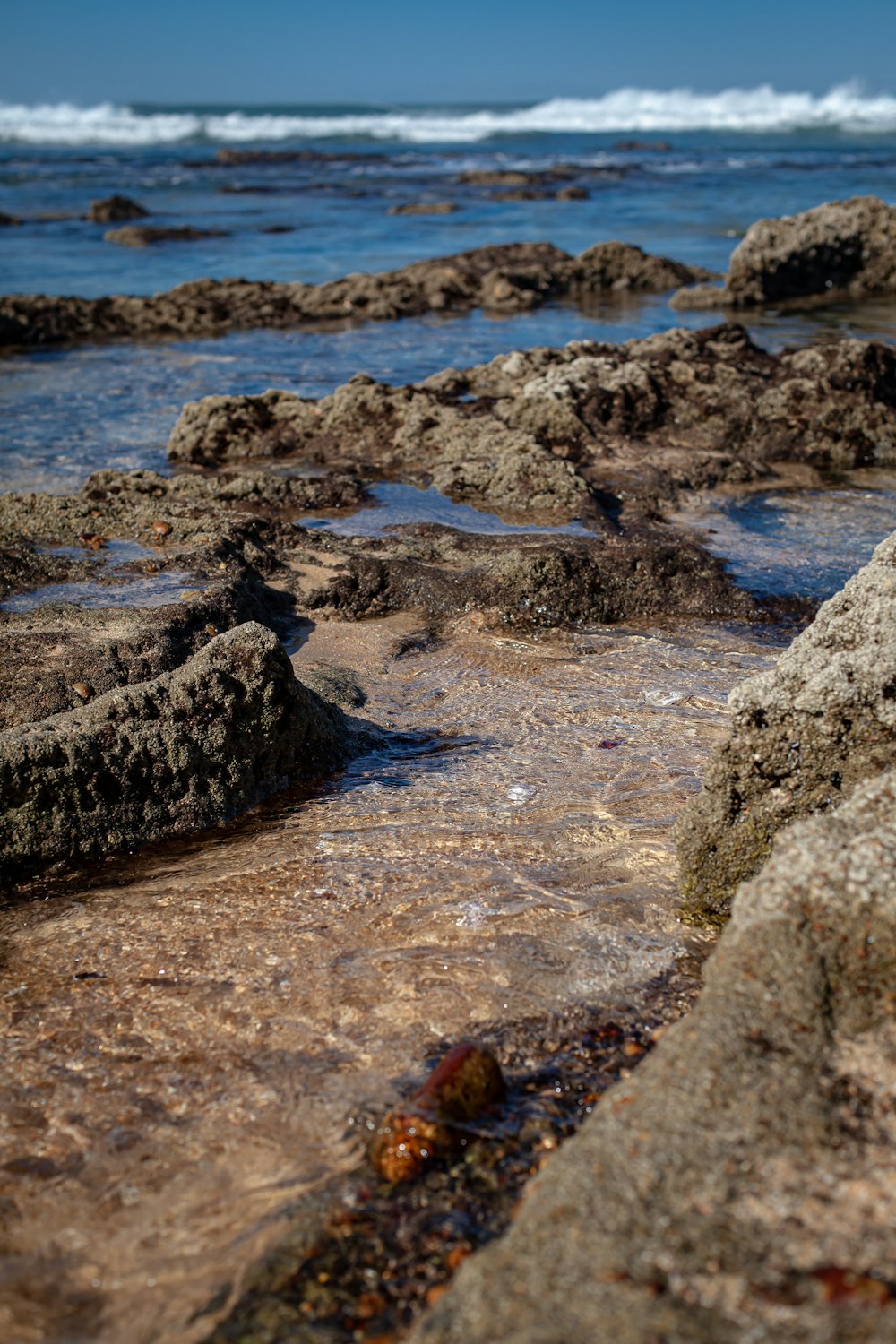 a close up of rocks near the ocean