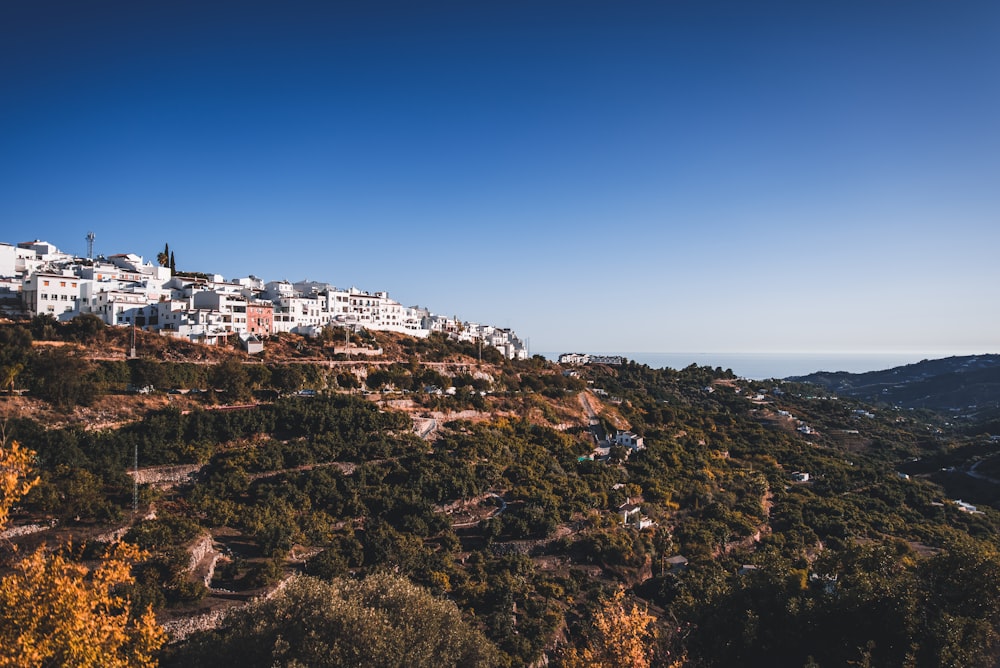 a view of a town on a hill