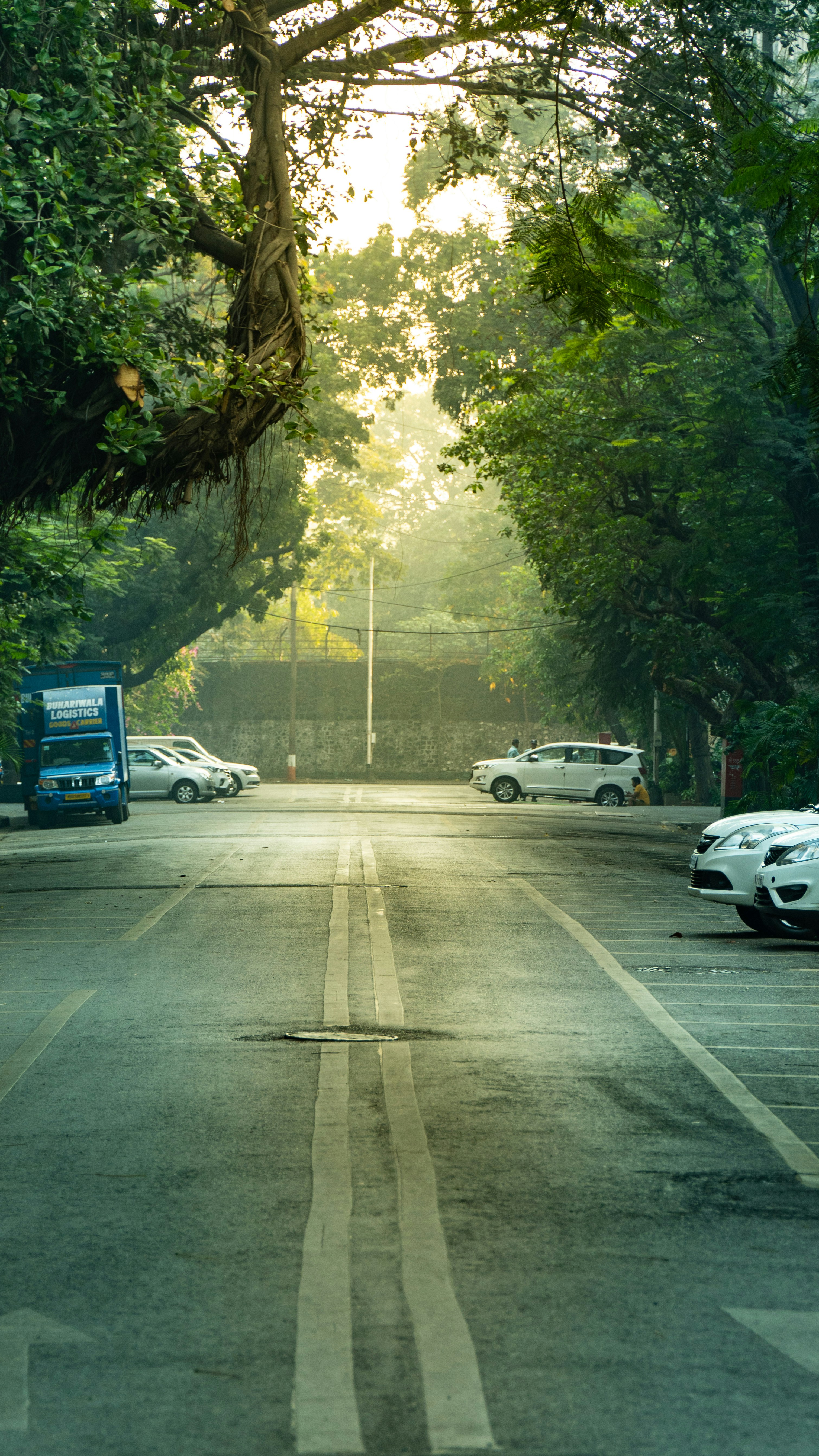 Photo by opticalnoice