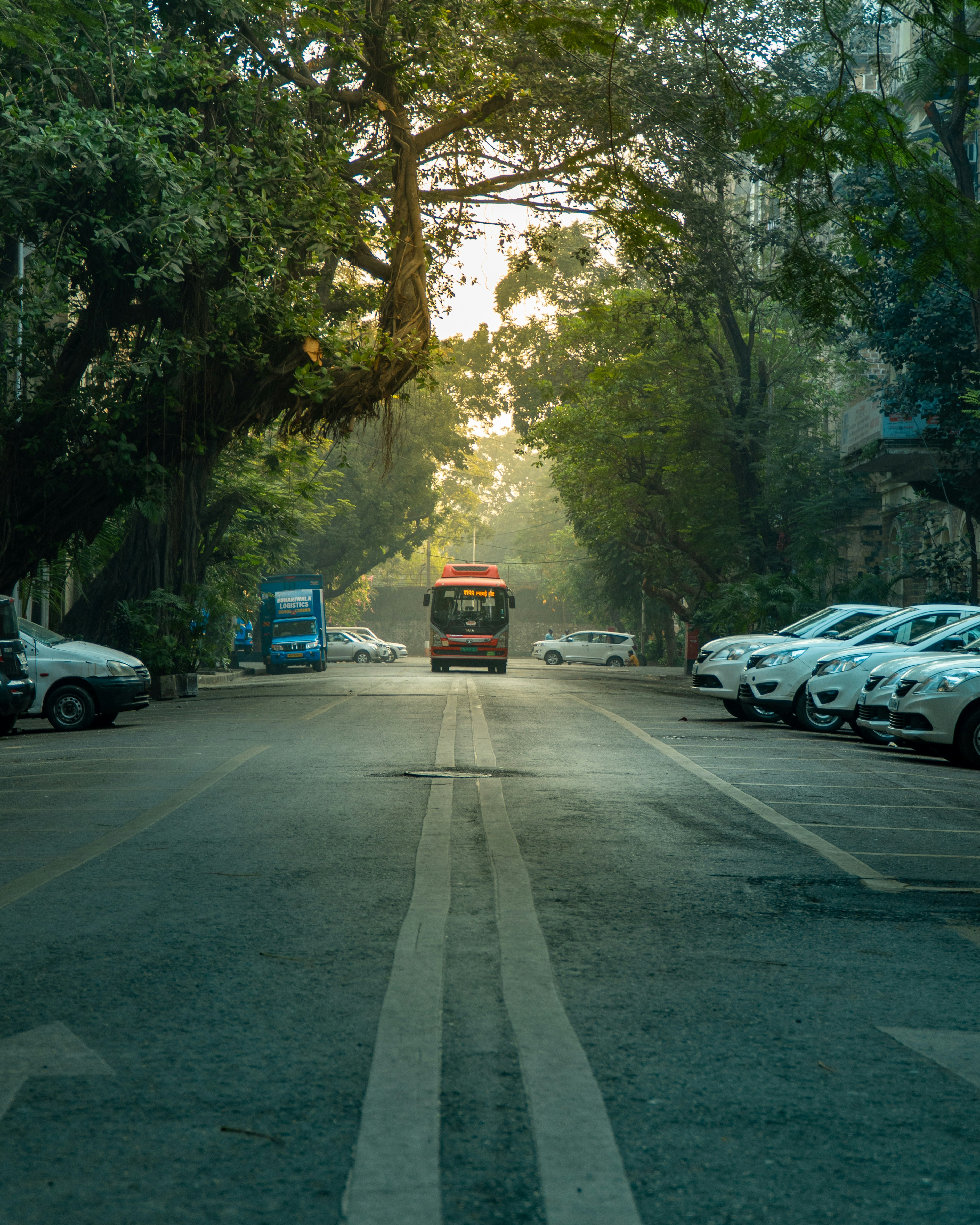 Photo by opticalnoice