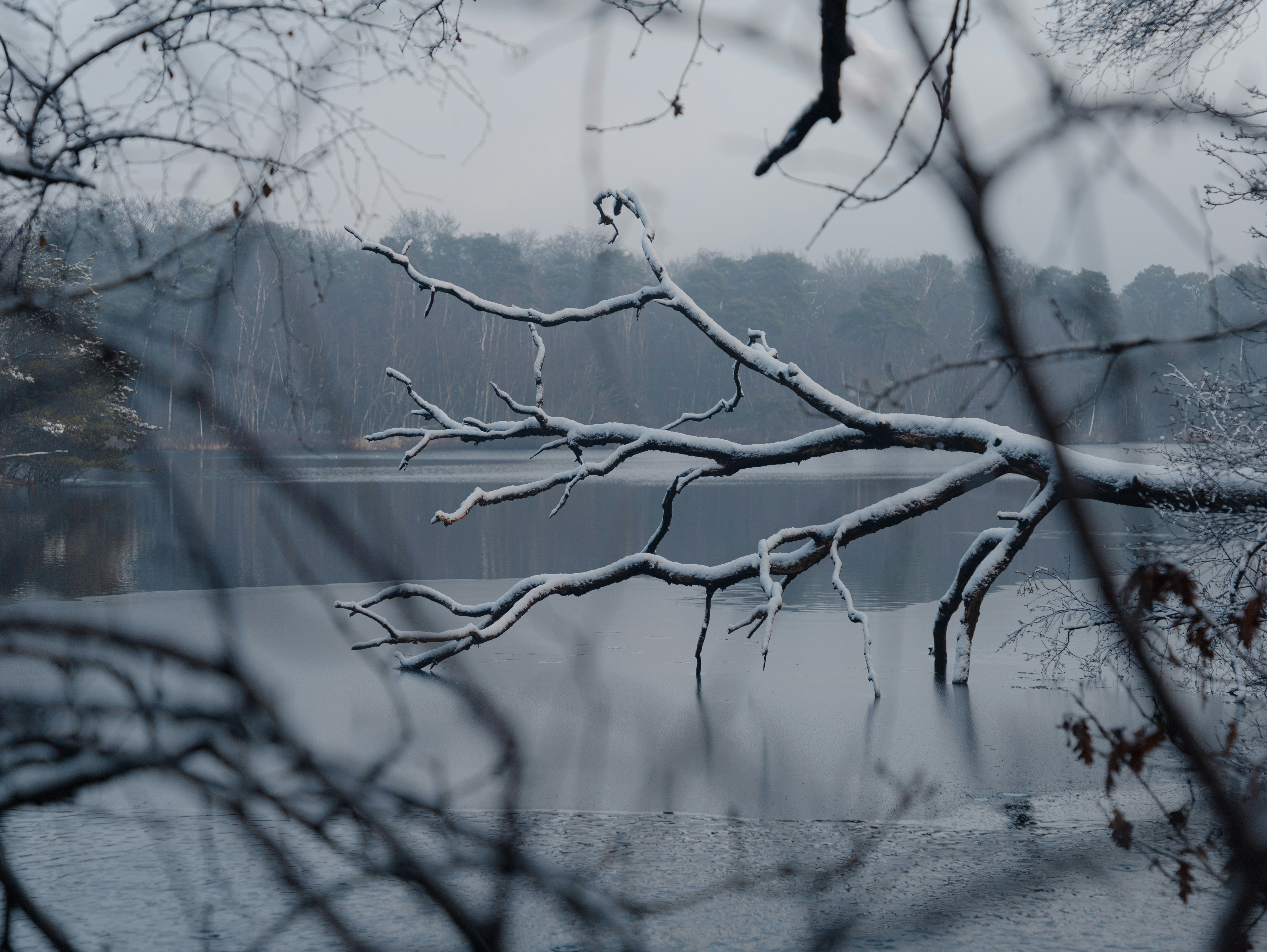 Photo by rwijnheijmer