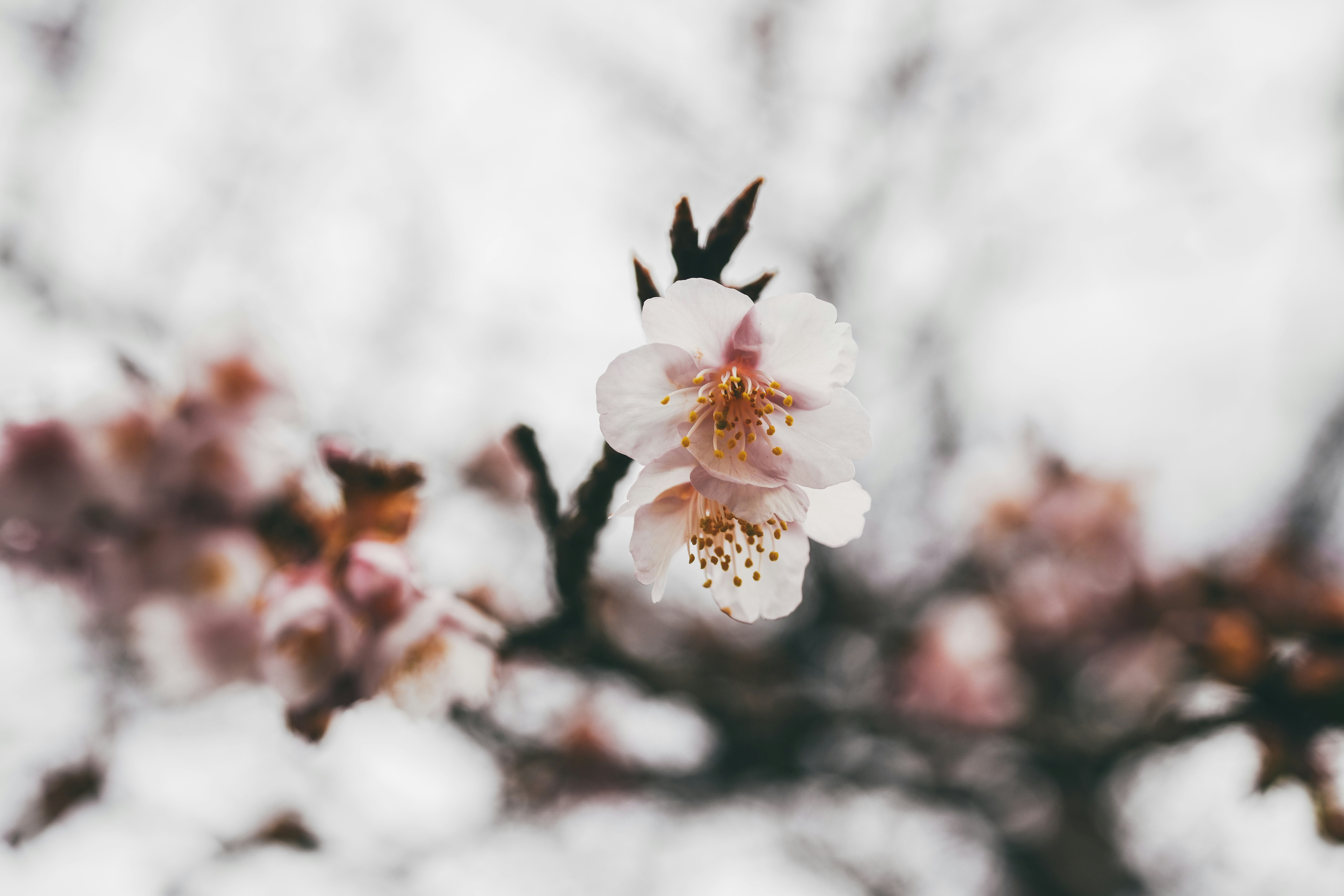 Photo by cosmonaut647