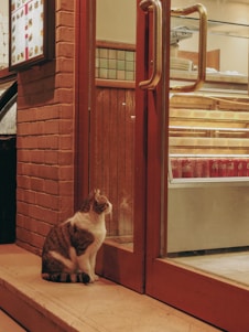 A cat sits outside a glass door, gazing intently at the interior of a shop. The setting features a brick wall, wooden paneling, and a menu board on the exterior wall. Inside, shelves display various items, creating a warm and inviting atmosphere.