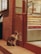 A cat sits outside a glass door, gazing intently at the interior of a shop. The setting features a brick wall, wooden paneling, and a menu board on the exterior wall. Inside, shelves display various items, creating a warm and inviting atmosphere.
