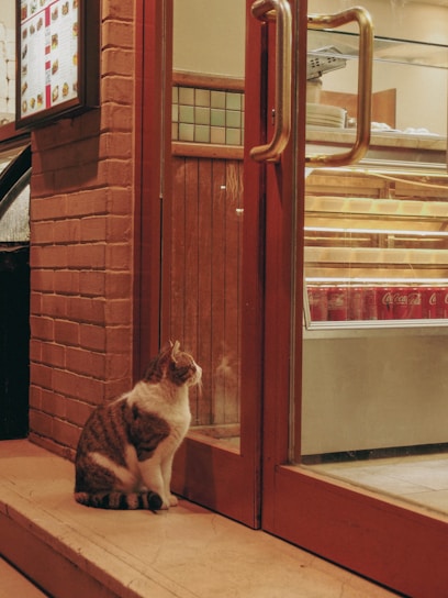 A cat sits outside a glass door, gazing intently at the interior of a shop. The setting features a brick wall, wooden paneling, and a menu board on the exterior wall. Inside, shelves display various items, creating a warm and inviting atmosphere.