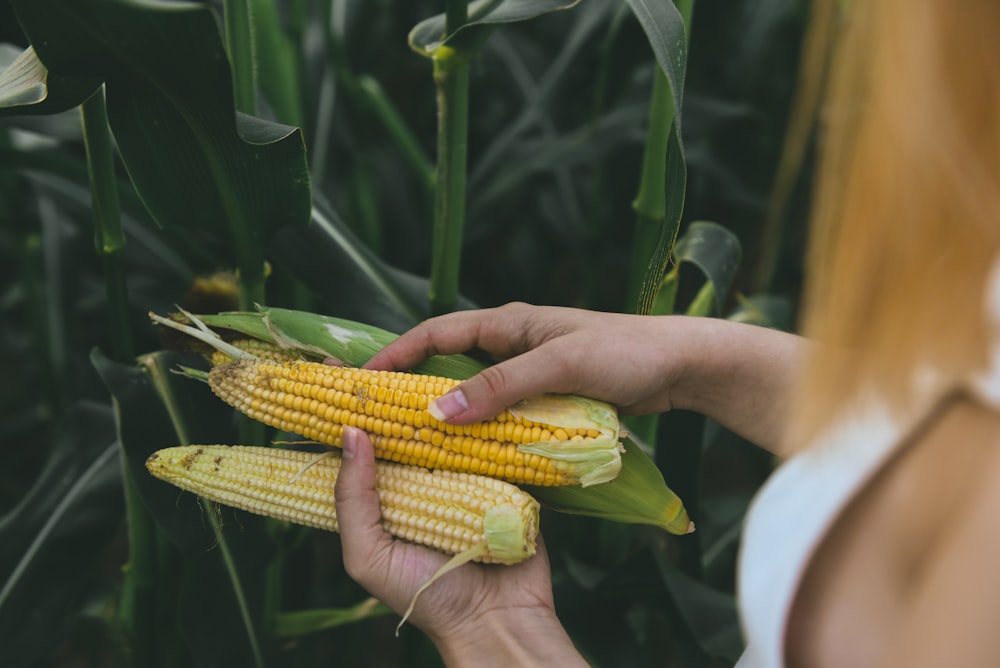 a woman holding a corn cob in her hand