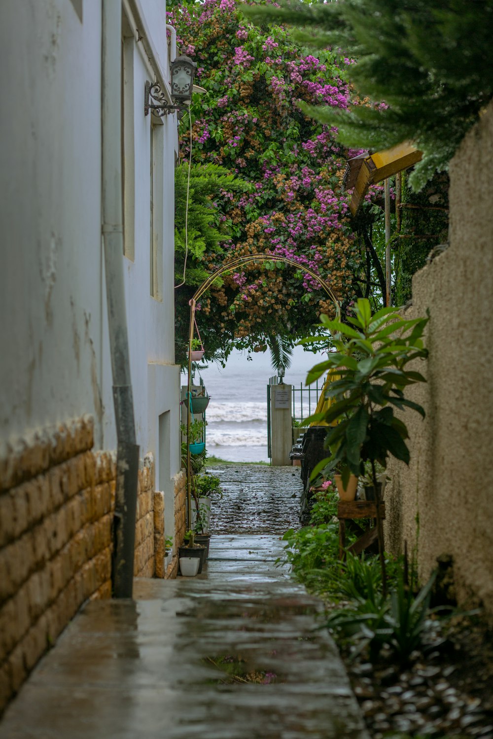 a narrow alley way with trees and flowers on either side