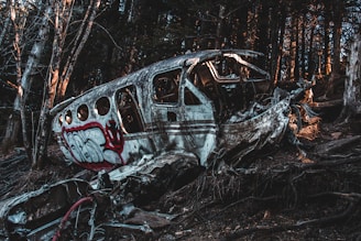 a burnt out car in the woods with trees in the background