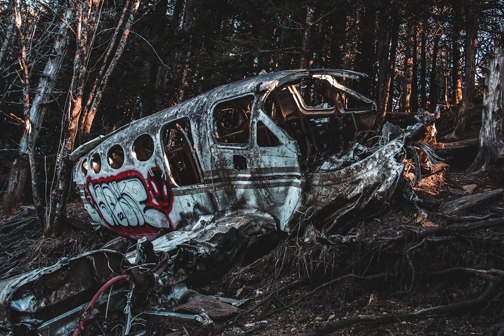 a burnt out car in the woods with trees in the background