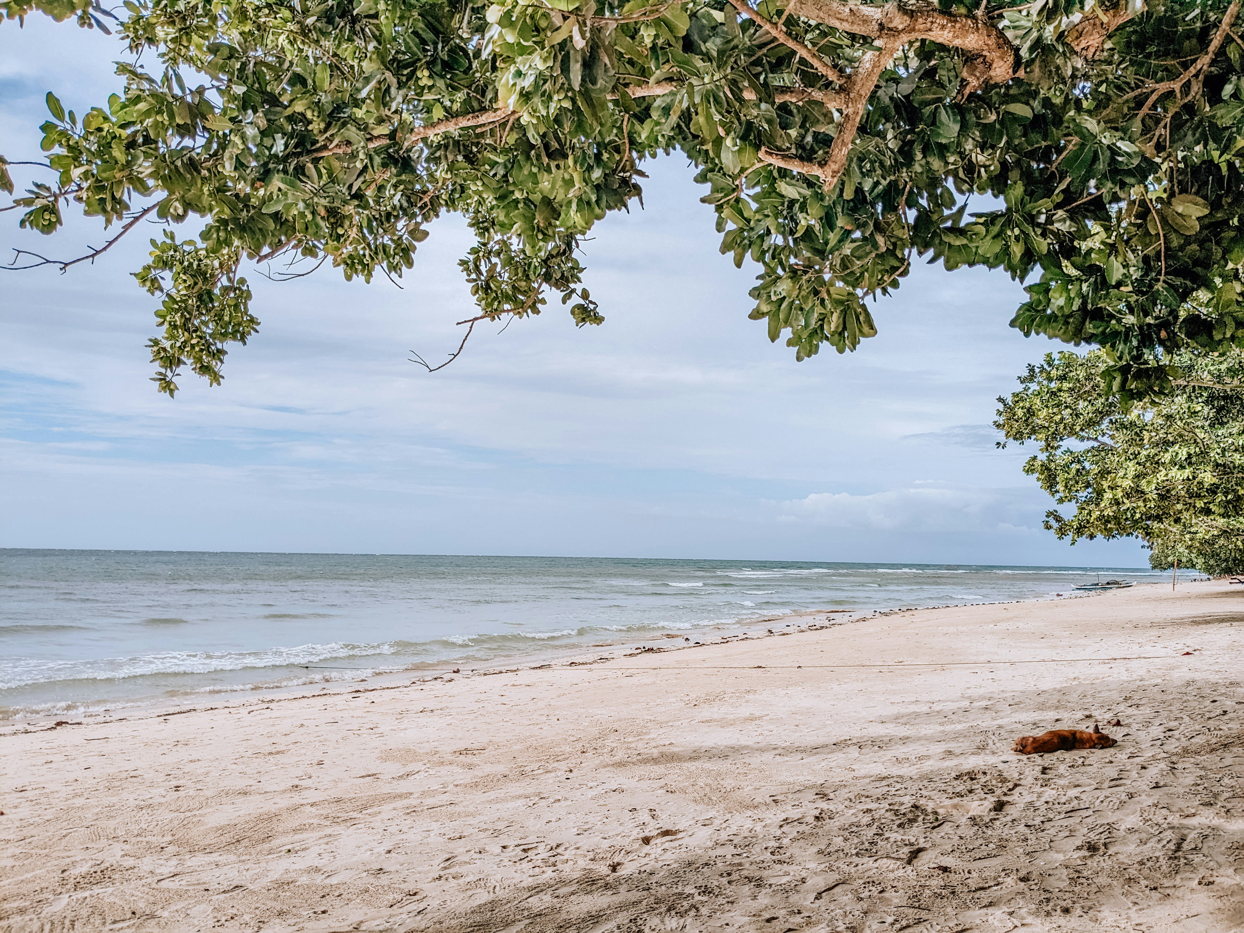 Photo by jeremeasunto