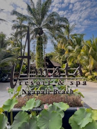 A resort sign is prominently displayed, surrounded by lush tropical plants and palm trees. The sky is blue with scattered clouds, creating a serene atmosphere.