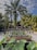 A resort sign is prominently displayed, surrounded by lush tropical plants and palm trees. The sky is blue with scattered clouds, creating a serene atmosphere.