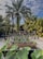 A resort sign is prominently displayed, surrounded by lush tropical plants and palm trees. The sky is blue with scattered clouds, creating a serene atmosphere.