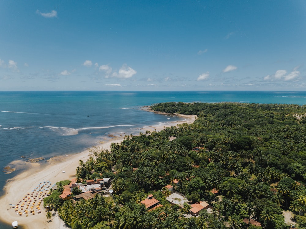 uma vista aérea de uma ilha tropical com uma praia