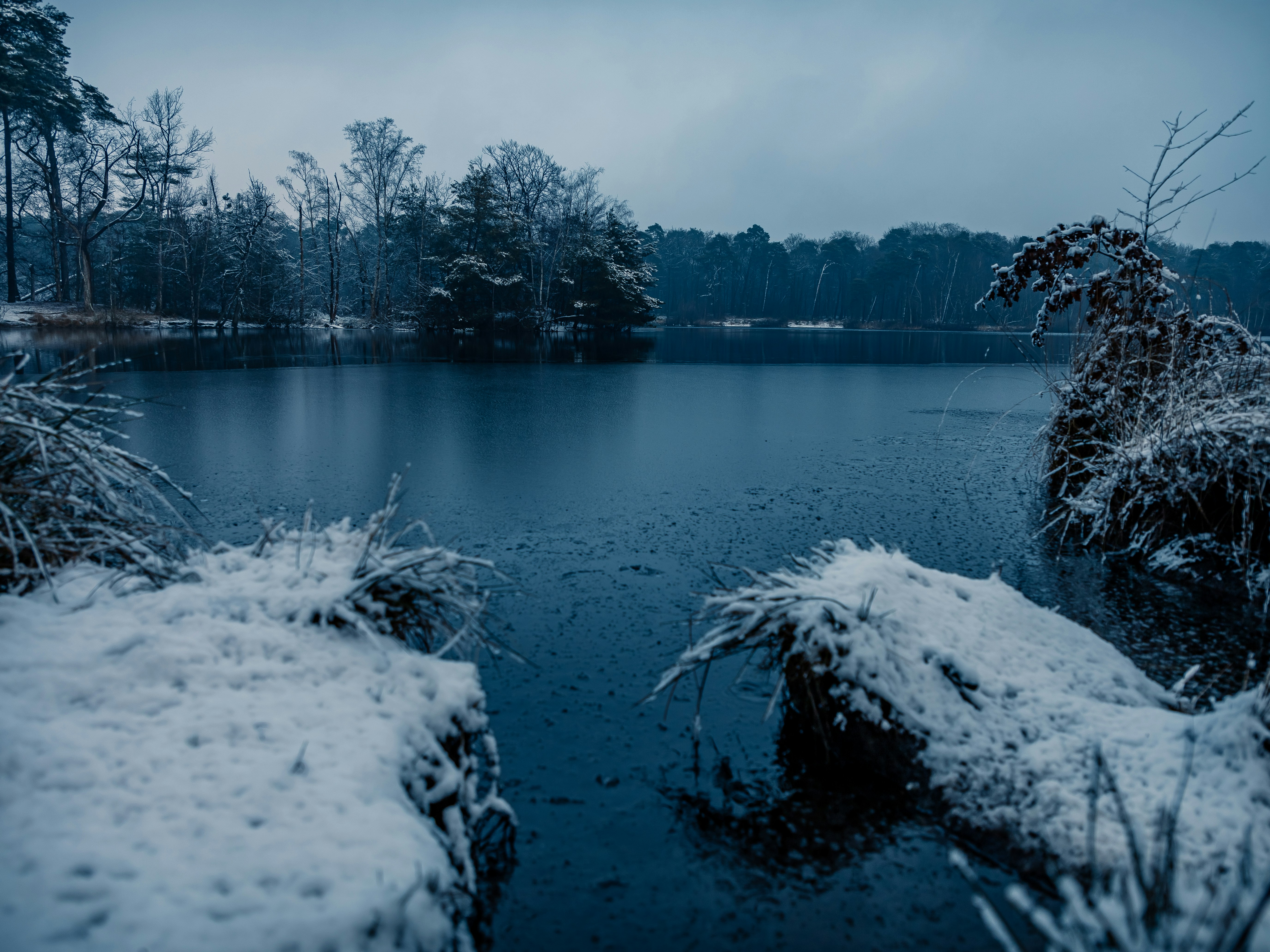 Photo by rwijnheijmer