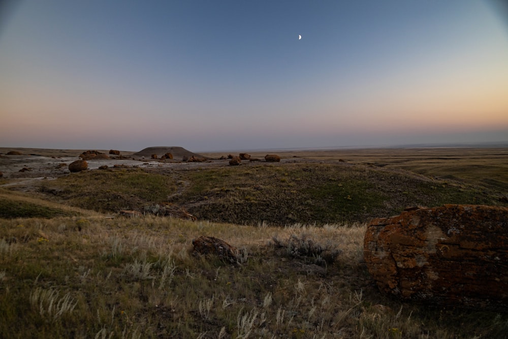 a grassy field with rocks and grass in the foreground