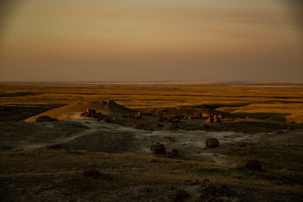 a field with rocks and grass at sunset