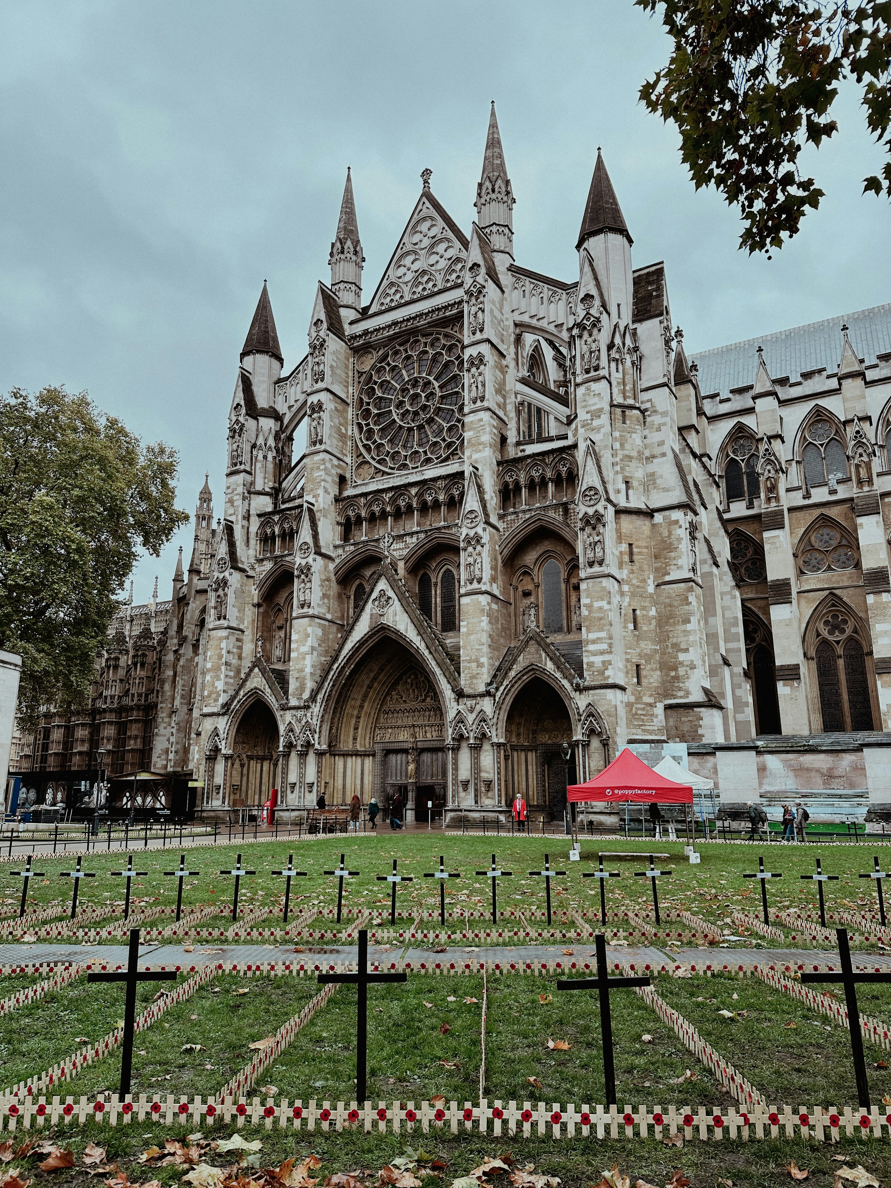 Photo by batuhankrskl