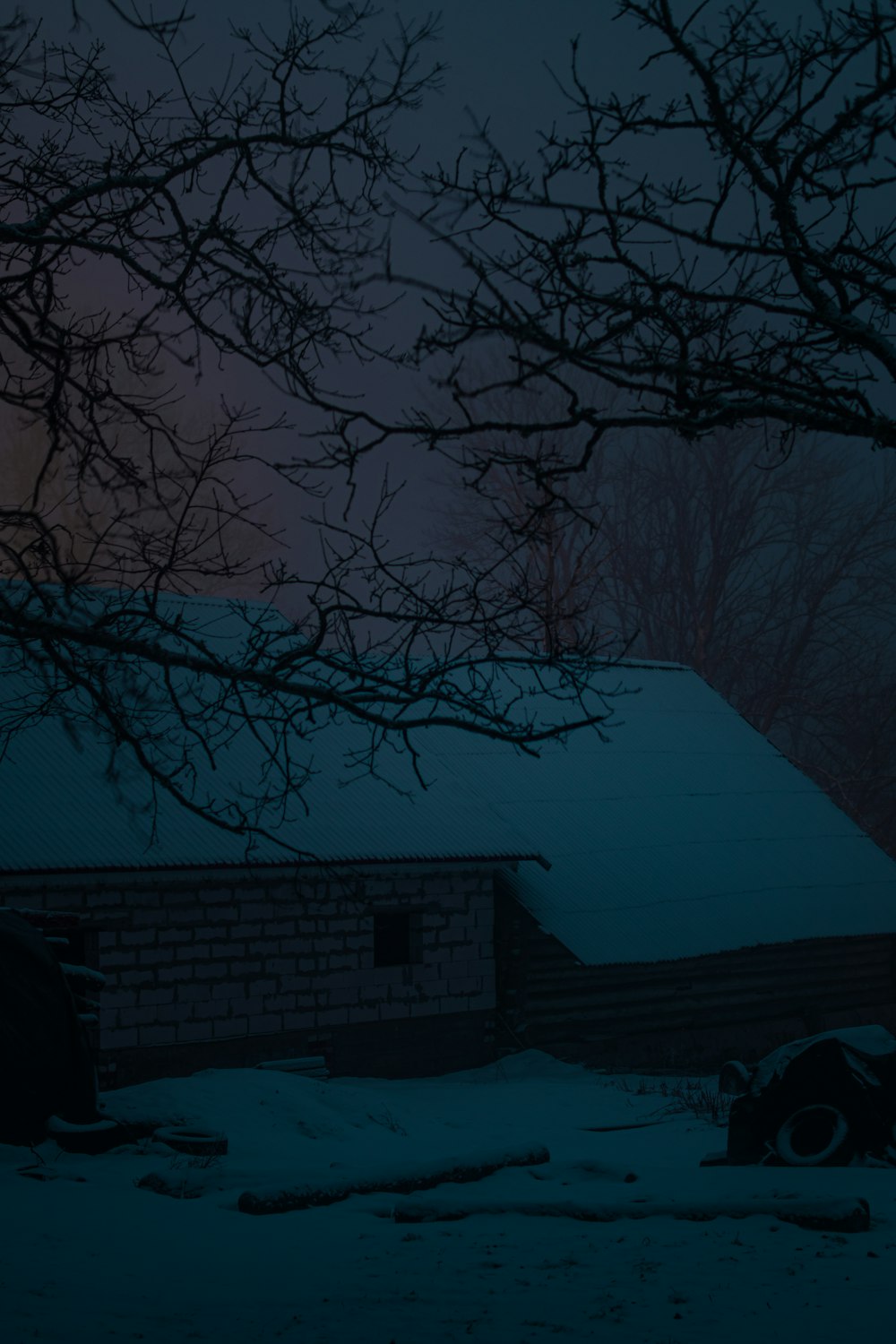 a dark picture of a house and a tree in the snow