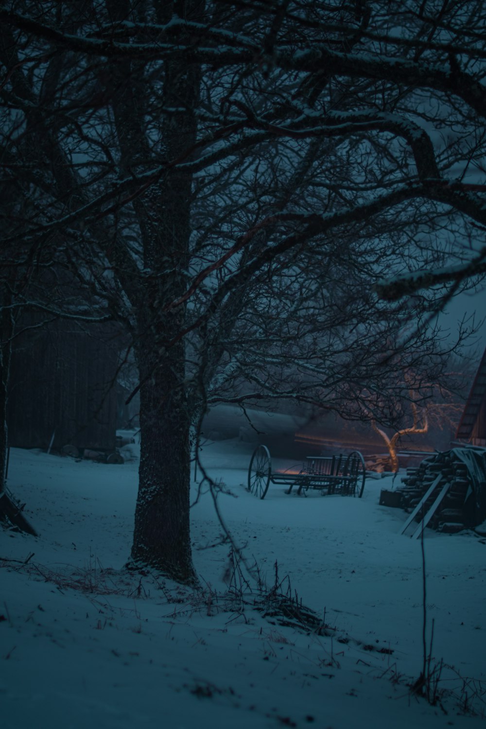 a snow covered yard with a fire in the background