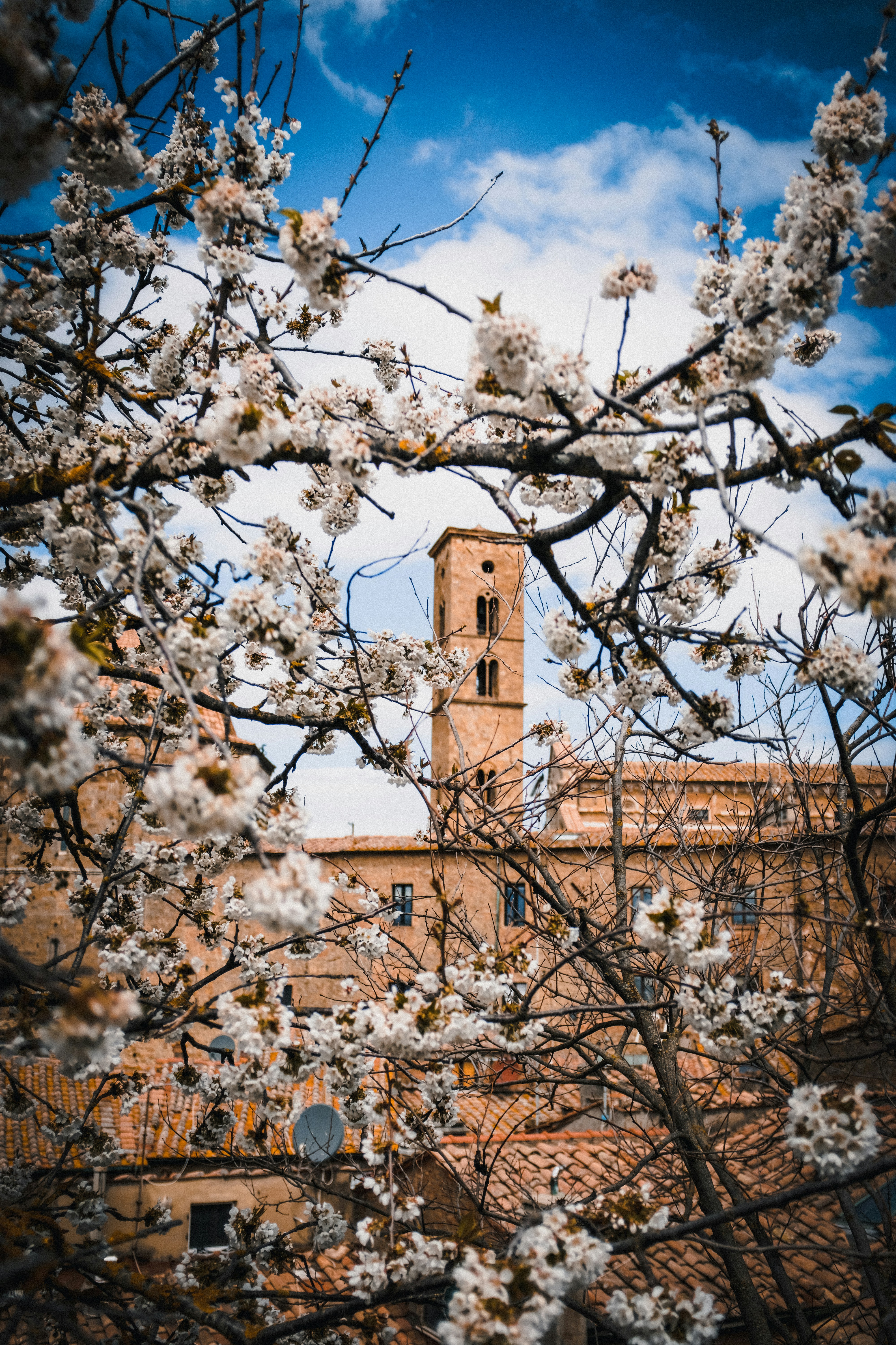 Un edificio alto con una torre del reloj al fondo