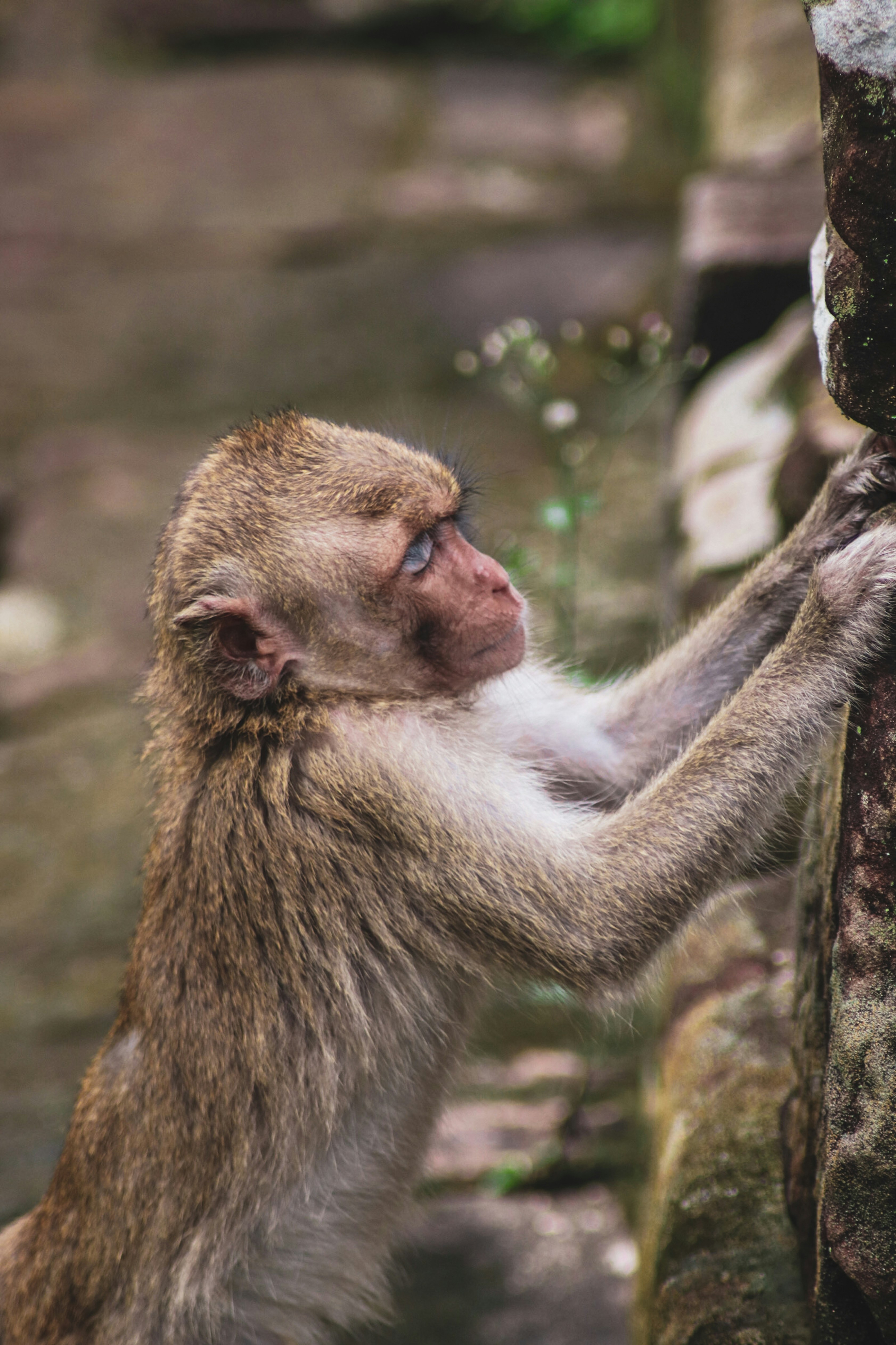 Photo by alix_guerin