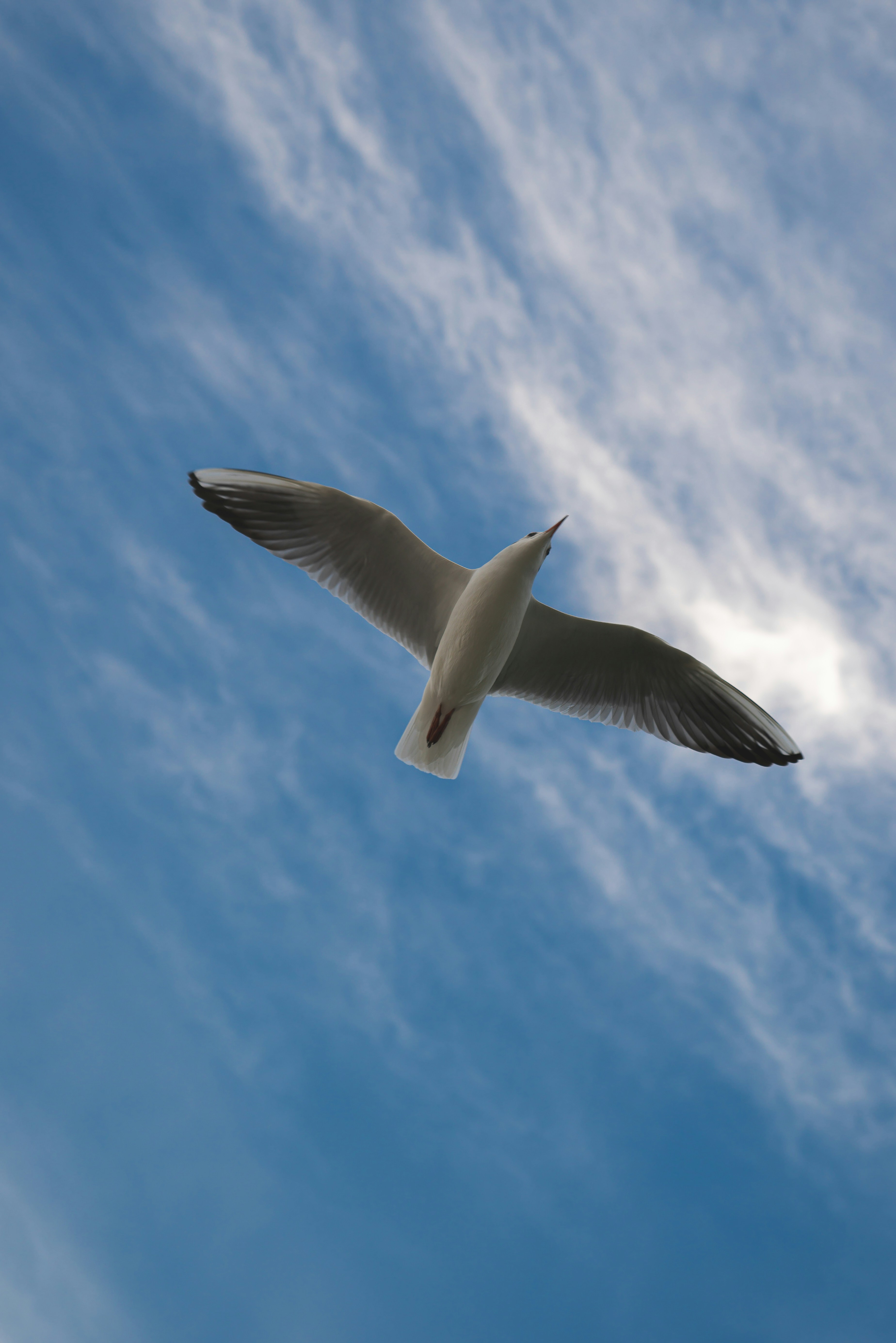 Photo by valentinlacoste