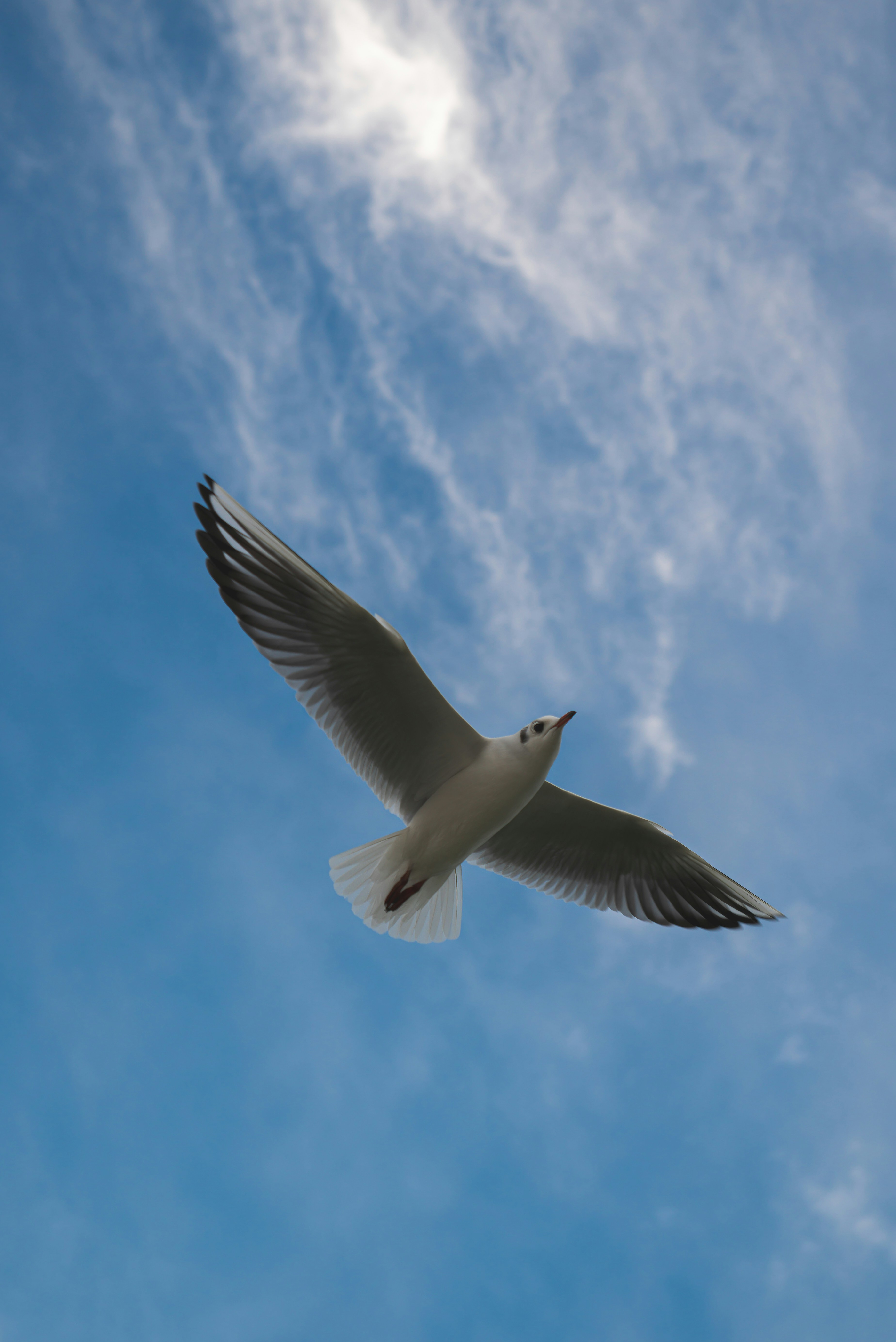 Photo by valentinlacoste