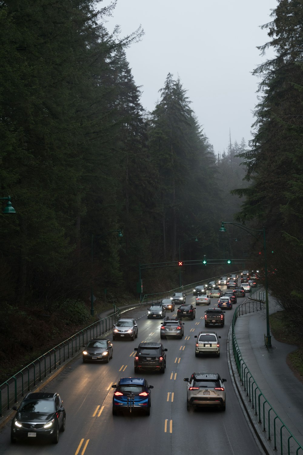 a highway filled with lots of traffic next to tall trees