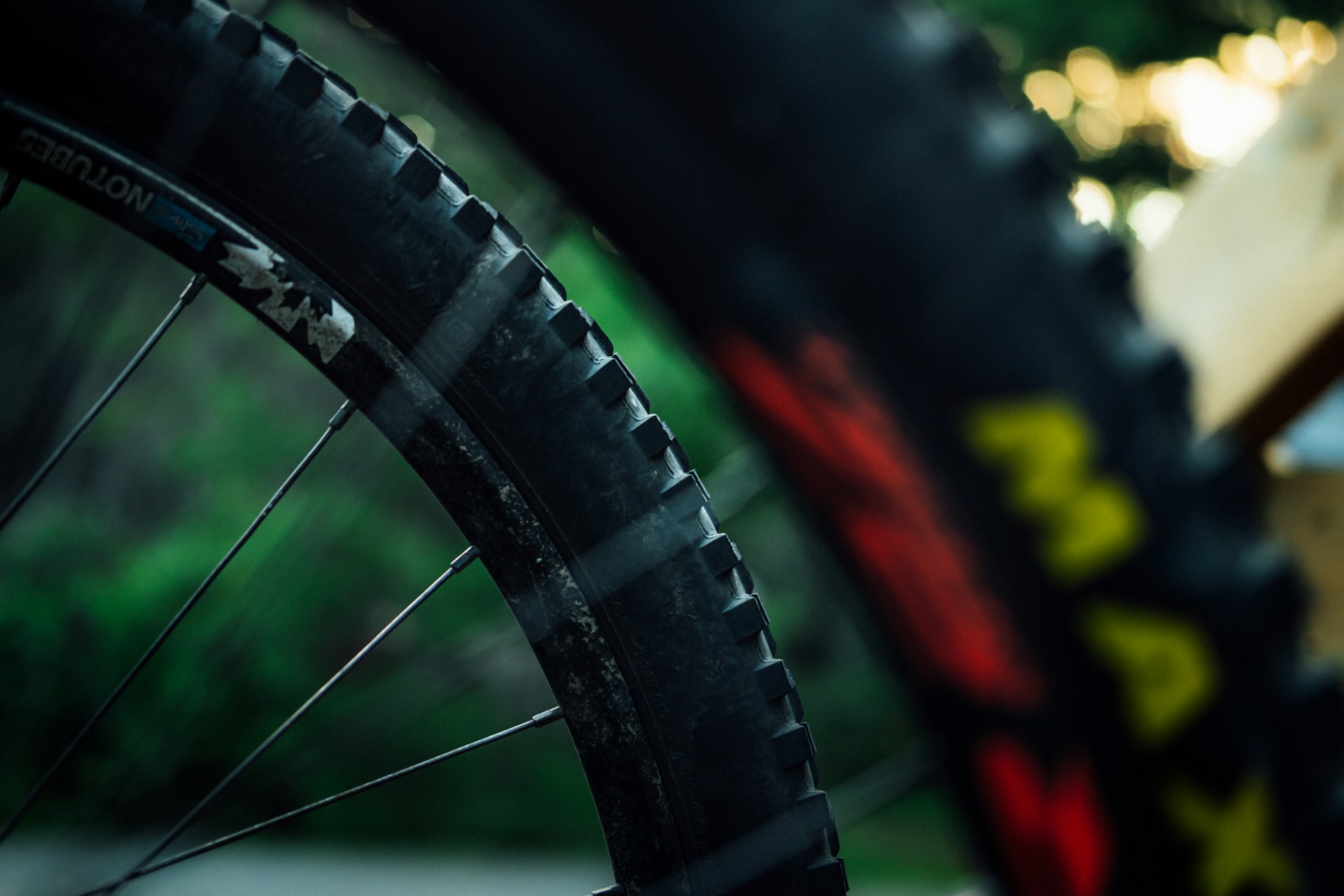 Close-up of worn gravel tires on a rocky trail, the earth beneath showing shades of green and grey under soft natural light.