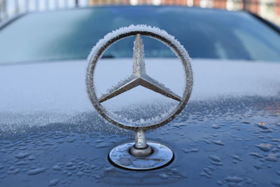 Close-up of the frostroda logo on the door of a shiny new refrigerated truck.