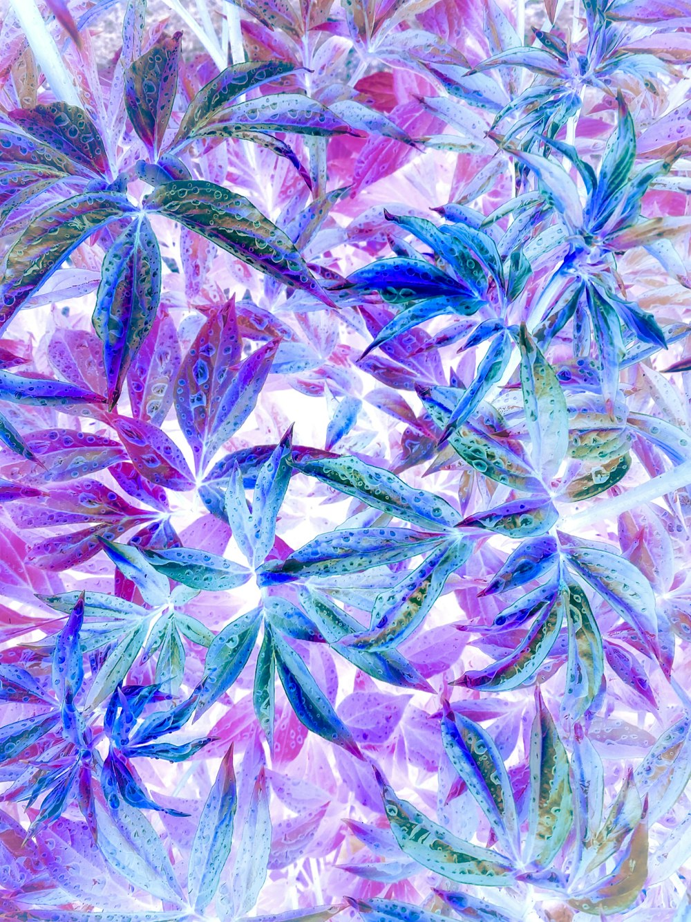 a painting of leaves on a pink and blue background