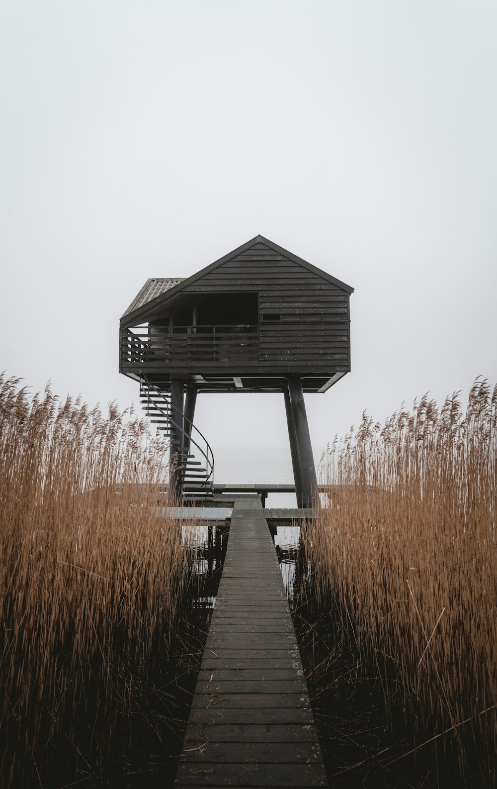 a wooden walkway leading to a house in the middle of tall grass