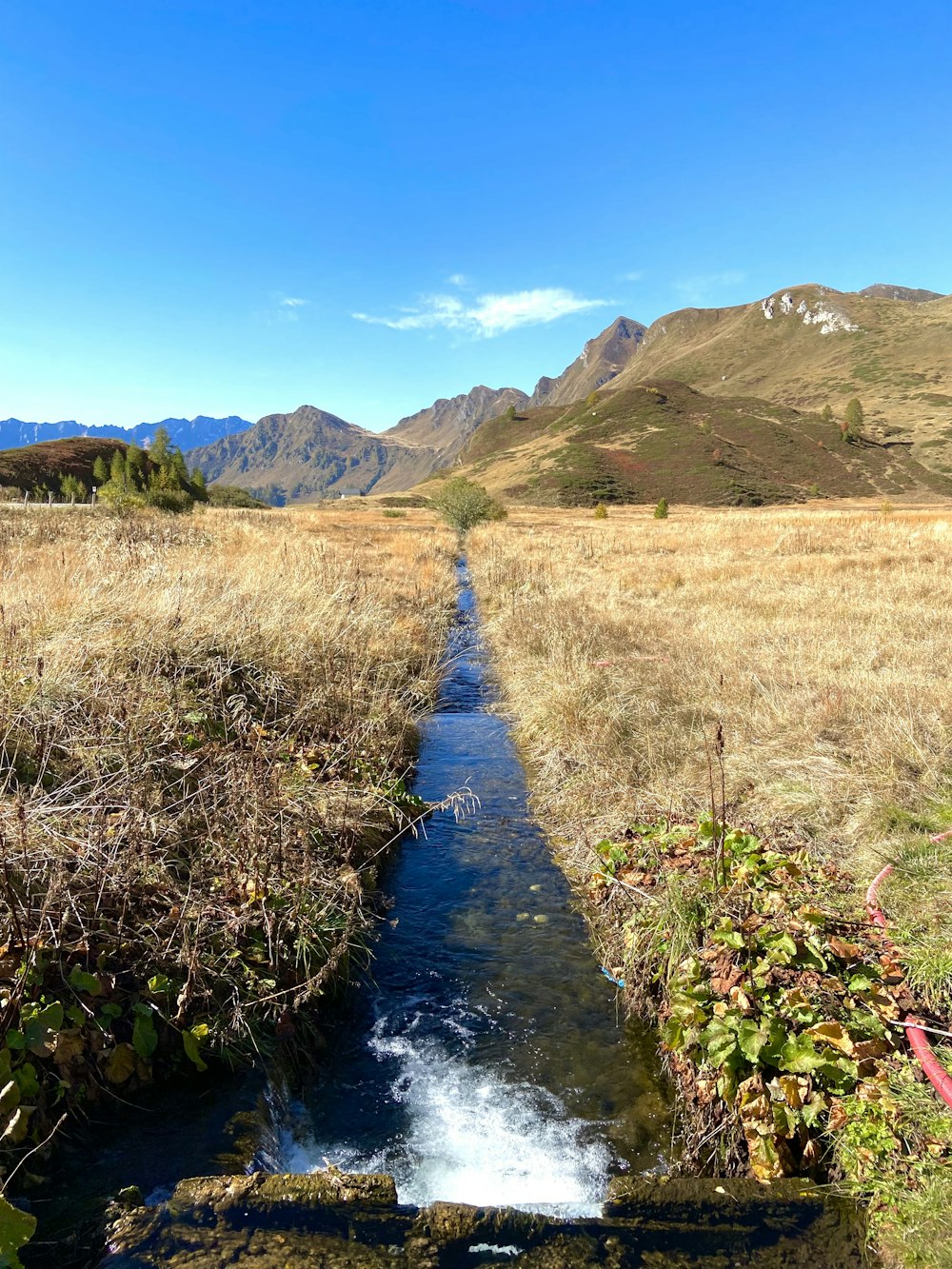 a stream running through a dry grass field