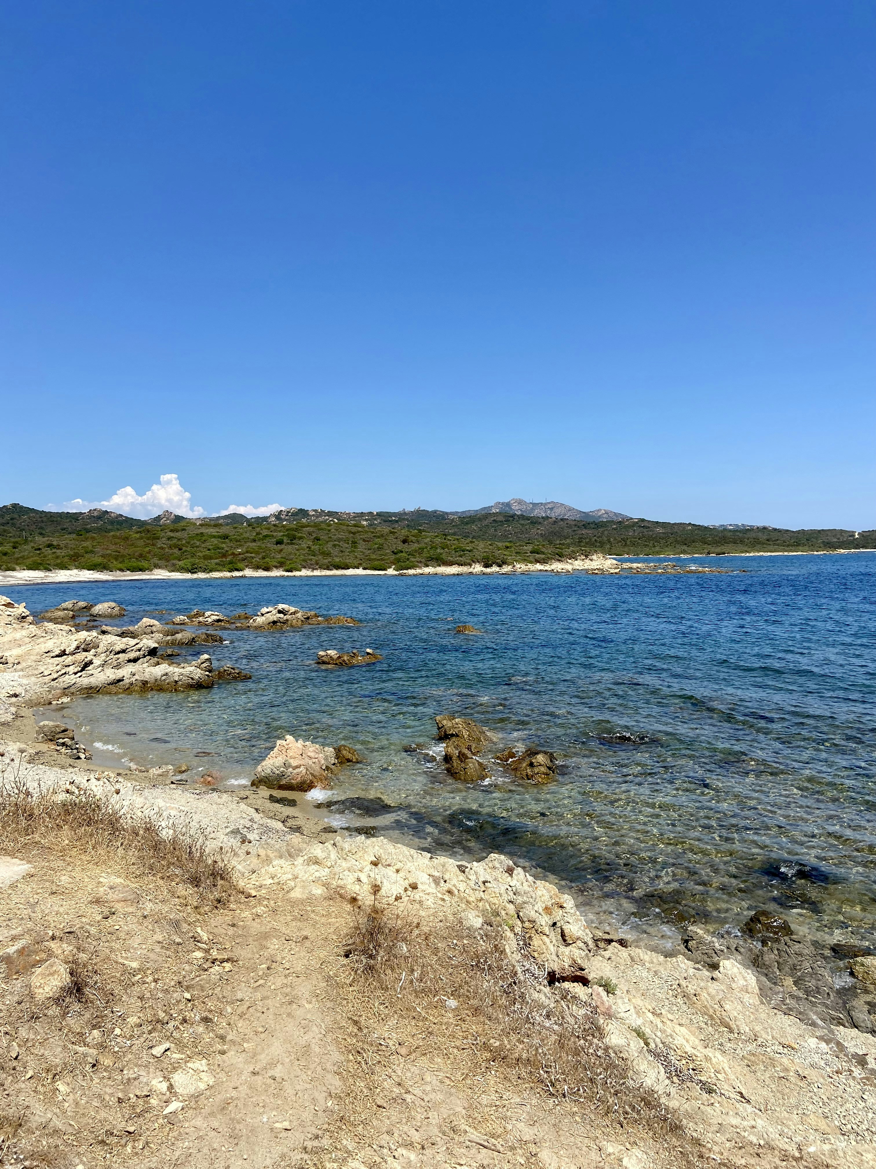 Photo by jenniferocca