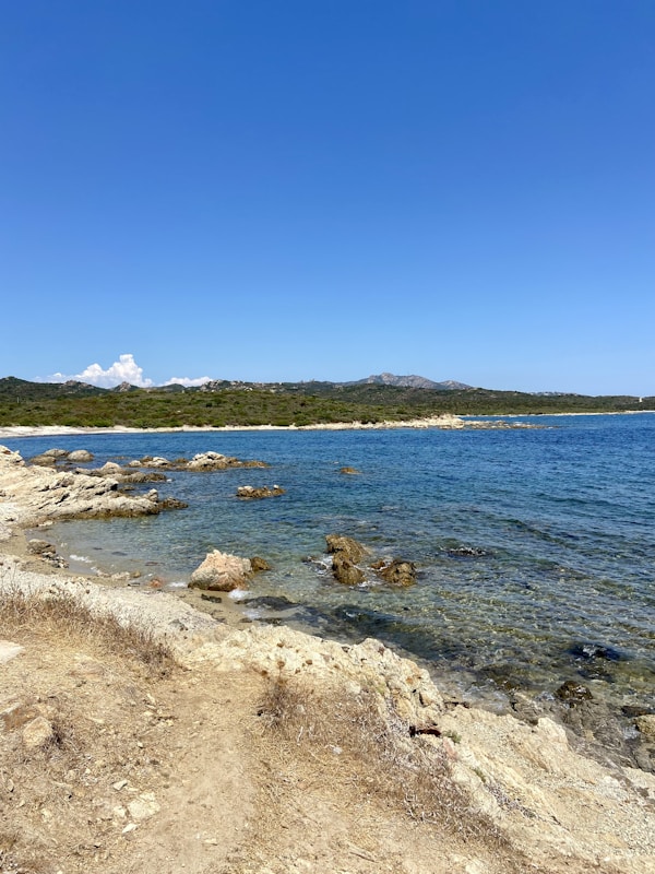 Exploring Olbia: A Local's Guide to Hidden Gems