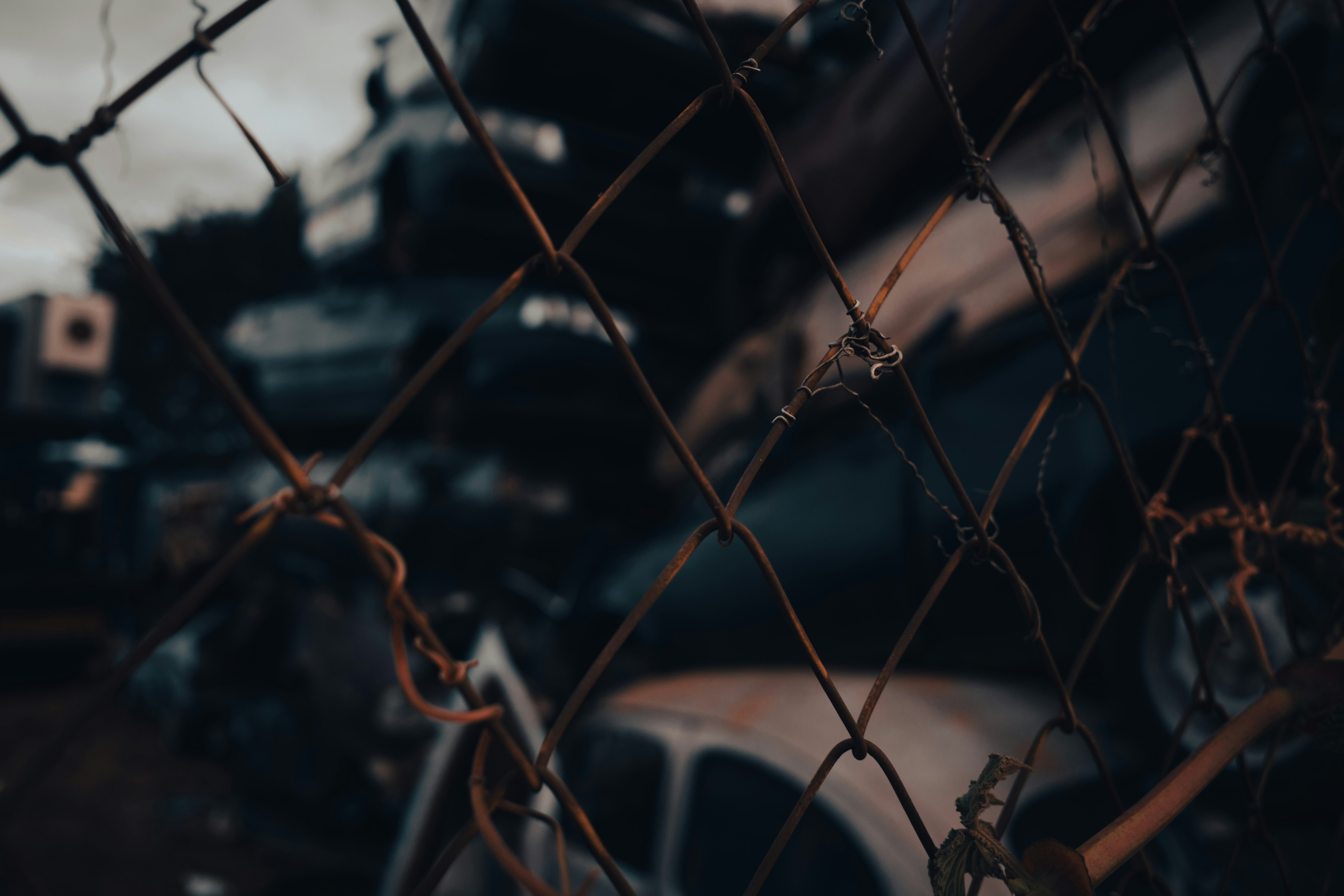 a close up of a fence with a car behind it