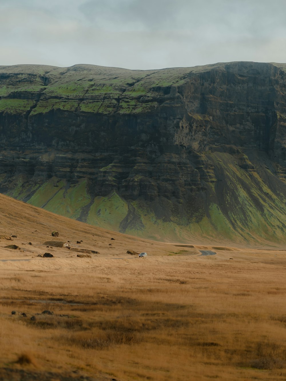 a herd of animals walking across a dry grass covered field