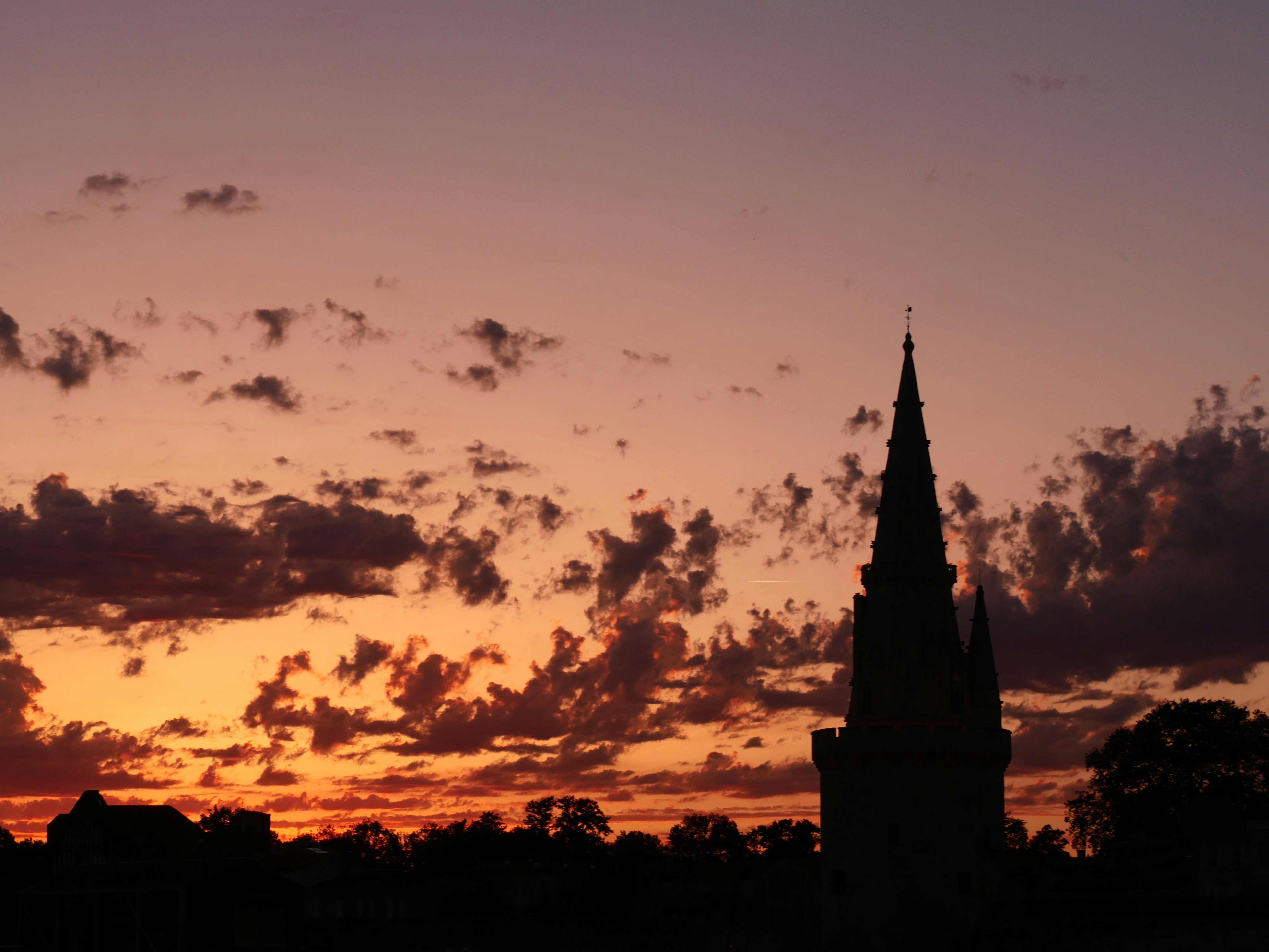 Photo by nimbus_vulpis