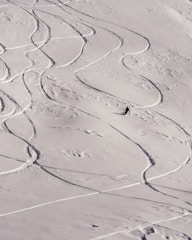 A scenic view of a snowy landscape features numerous curving ski trails winding across the undisturbed surface of the snow. A lone figure is captured mid-descent, adding a sense of motion and adventure to the tranquil winter setting. The smooth snow and clear ski paths create a pleasing visual contrast.
