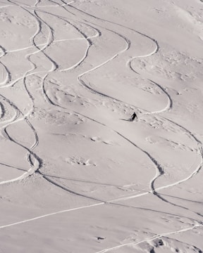 A scenic view of a snowy landscape features numerous curving ski trails winding across the undisturbed surface of the snow. A lone figure is captured mid-descent, adding a sense of motion and adventure to the tranquil winter setting. The smooth snow and clear ski paths create a pleasing visual contrast.