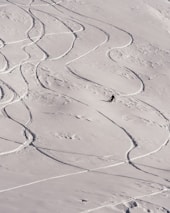 A scenic view of a snowy landscape features numerous curving ski trails winding across the undisturbed surface of the snow. A lone figure is captured mid-descent, adding a sense of motion and adventure to the tranquil winter setting. The smooth snow and clear ski paths create a pleasing visual contrast.