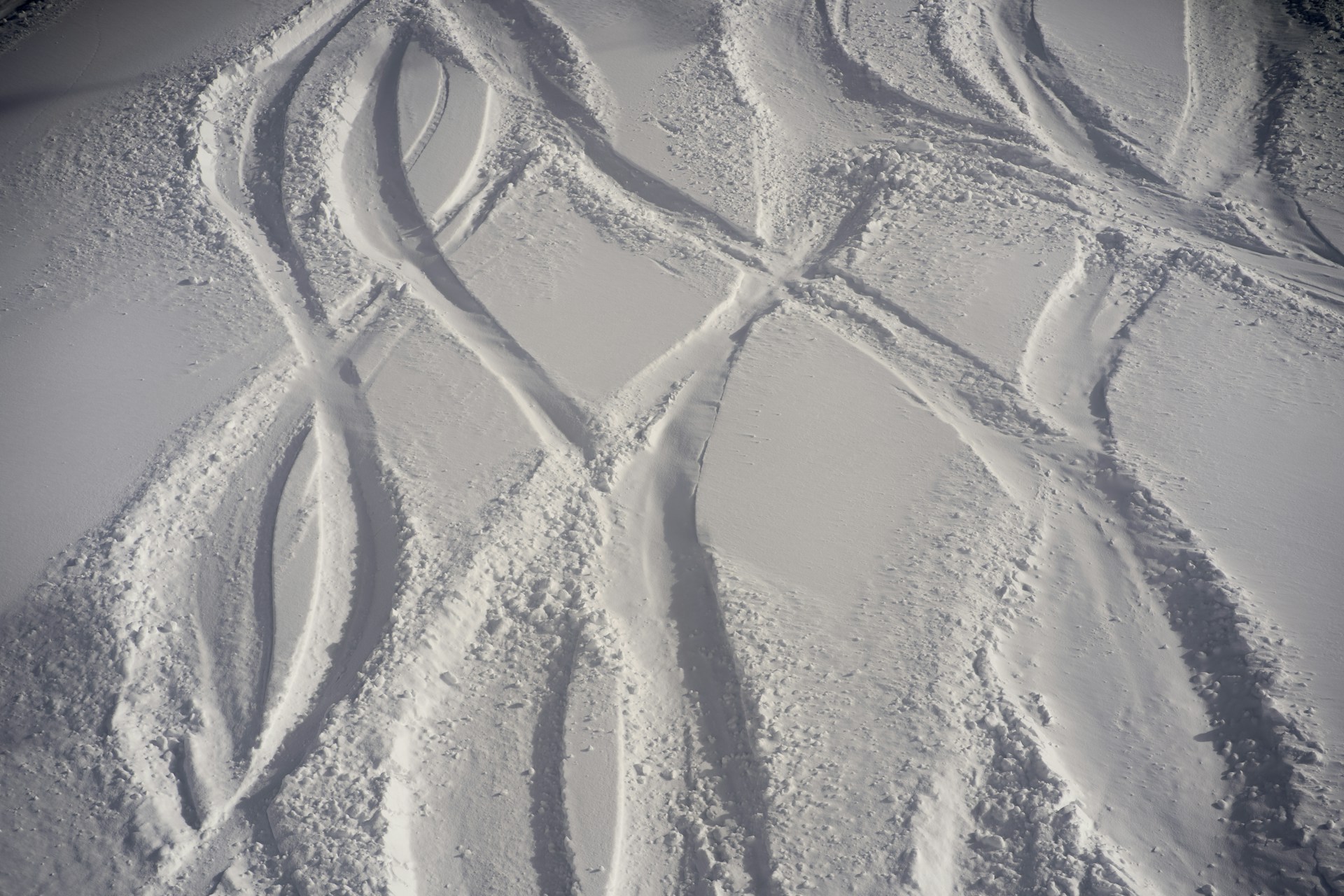 Several ski tracks are visible in fresh, undisturbed snow, likely indicating recent activity on a snowy slope. The tracks are curved and intersect at various points, showing multiple paths taken by skiers.