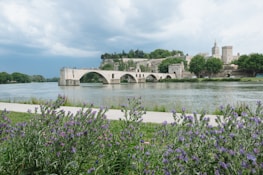 A close-up of a historic stone bridge featured in the Traitors series, framed by wildflowers.