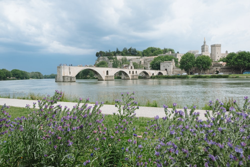 Eine Brücke über einen Fluss neben einer üppigen grünen Wiese