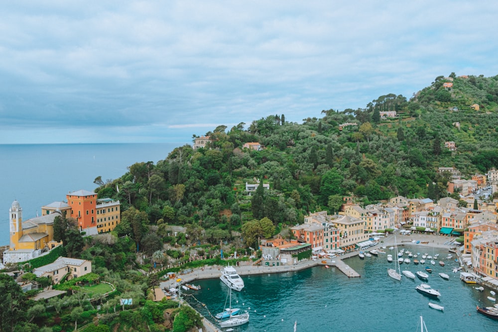 a view of a harbor with boats in the water