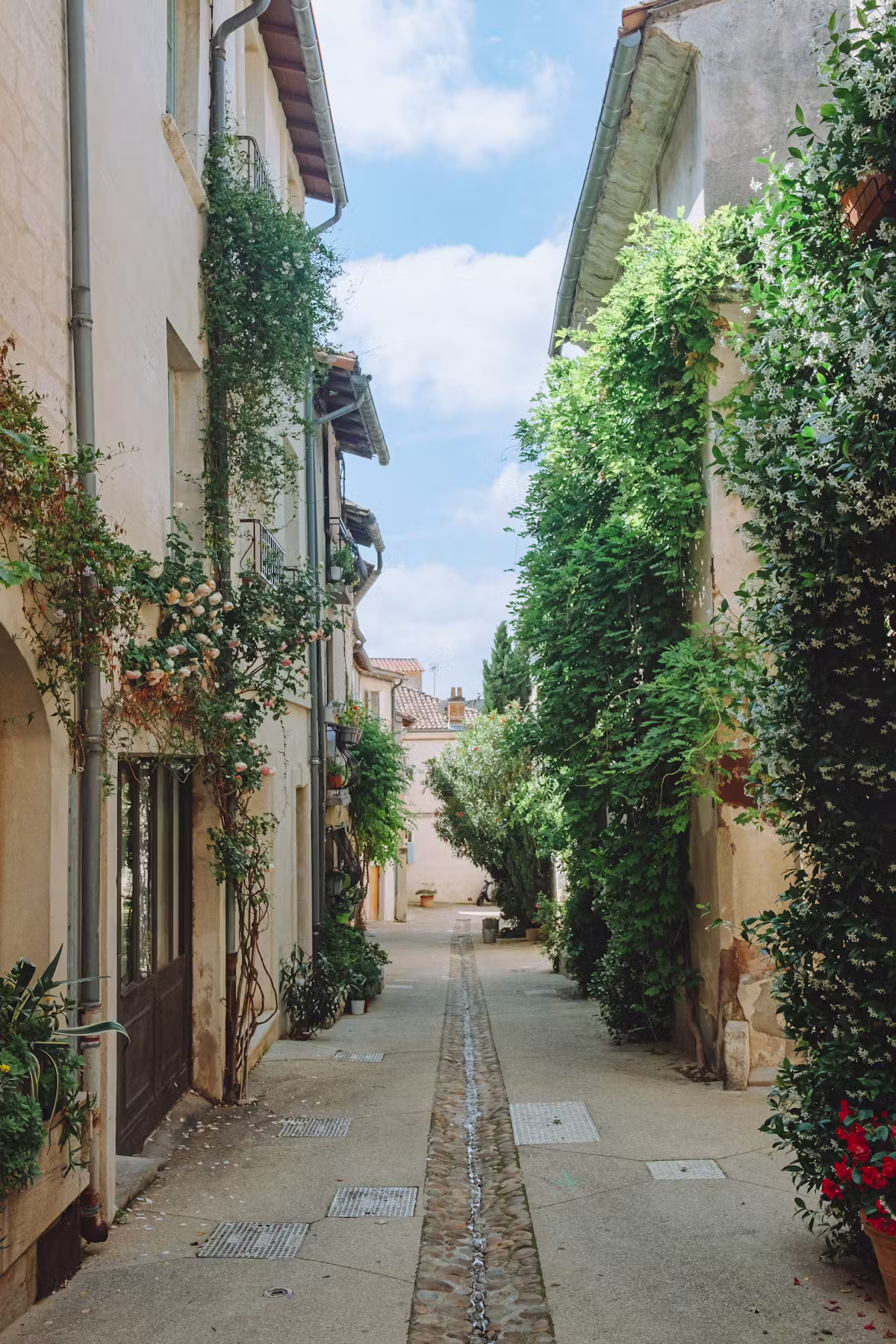 Atypique studio au pied des sites touristiques à Sarrians — Studio · Sarrians, Provence