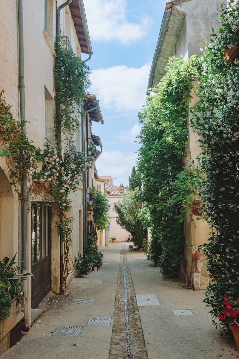 Ruelle fleurie d'un village perch&eacute; de Provence