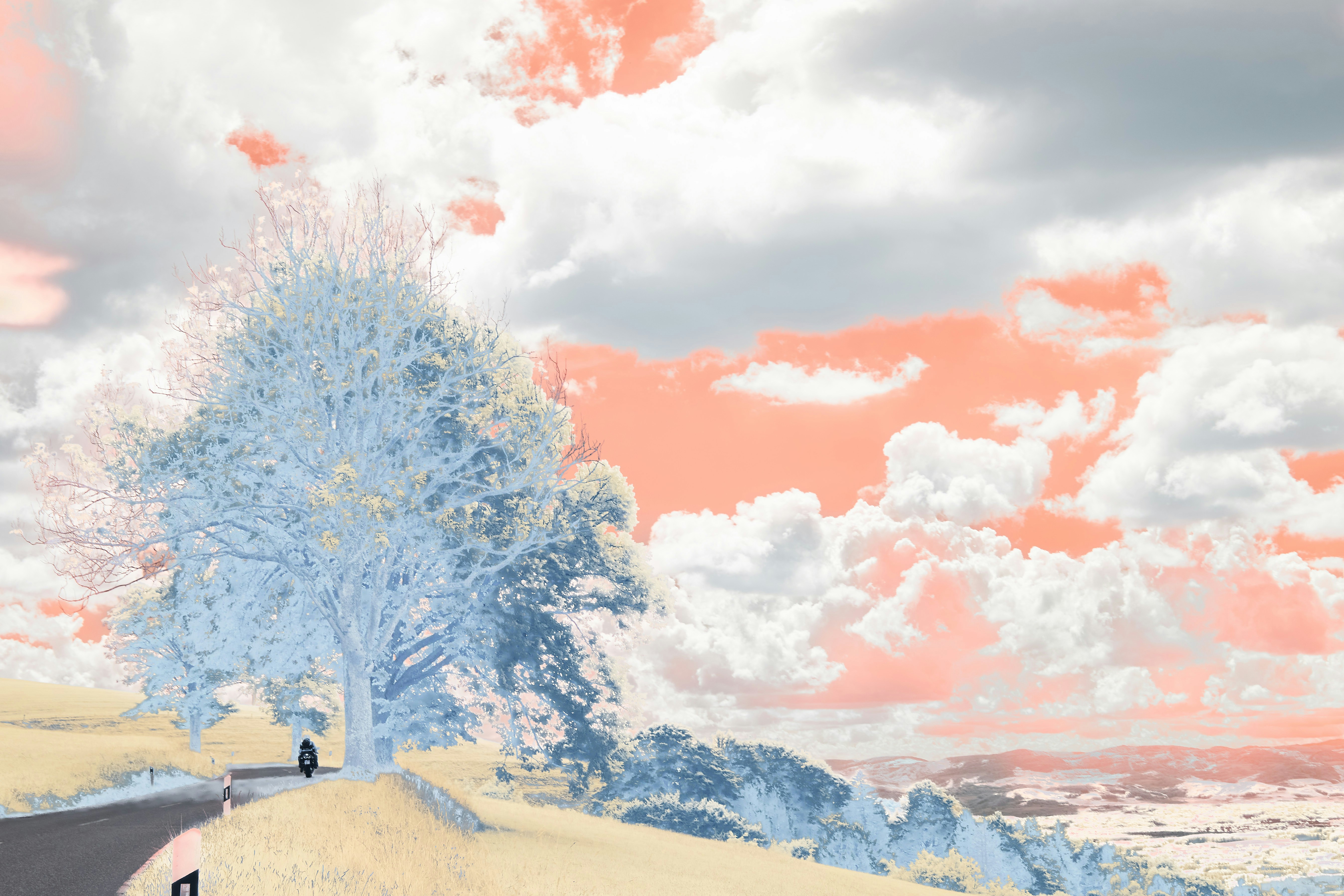 Photo by wolfgang_hasselmann